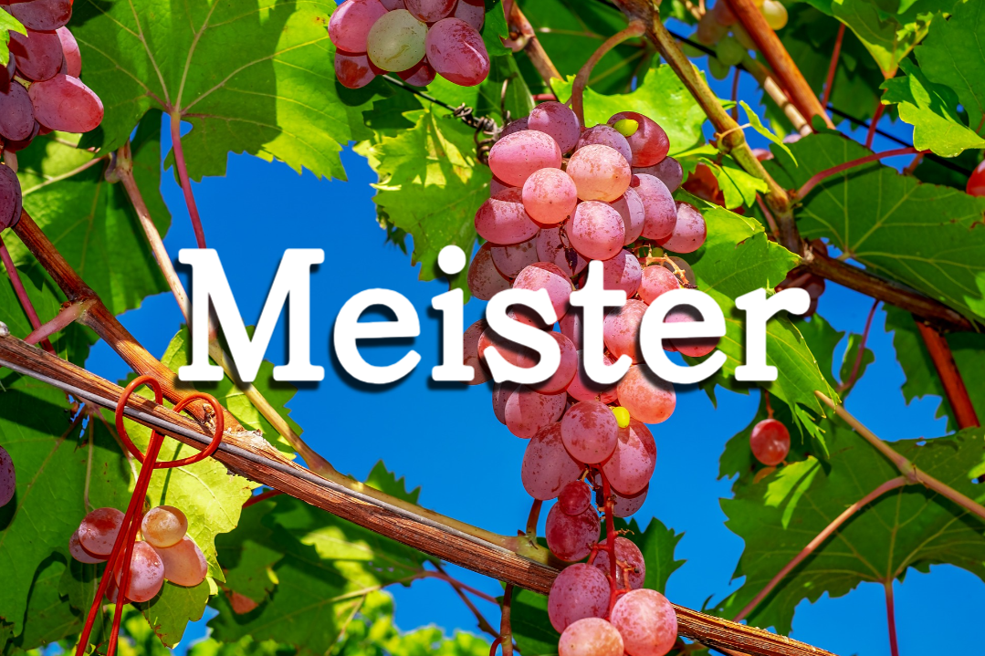 Fruit Meister