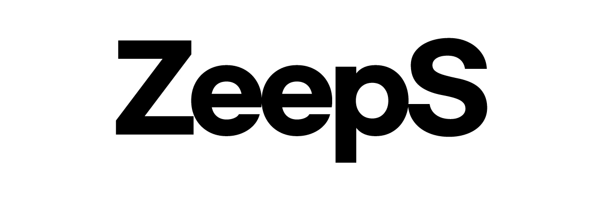 집스