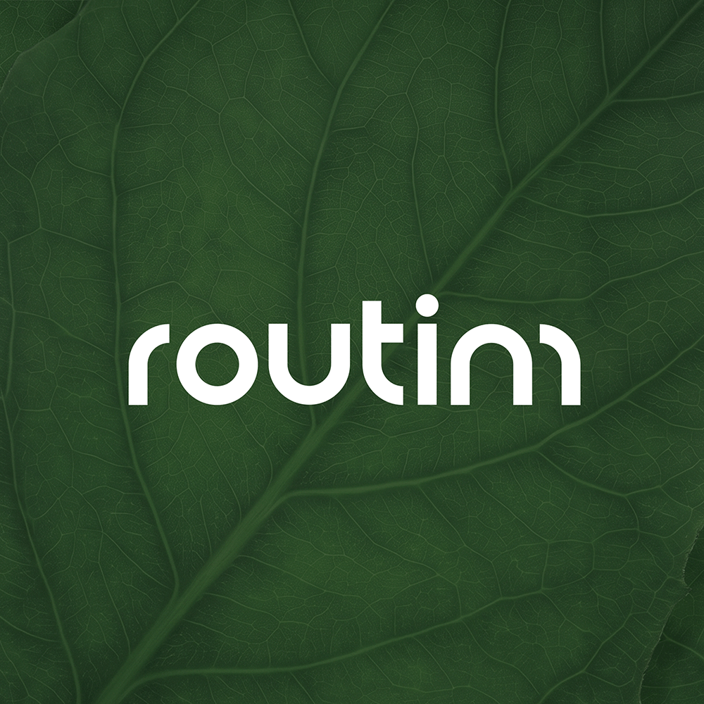 루팀 routim
